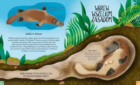 062-063 Krolowe swiata zwierzat elibri